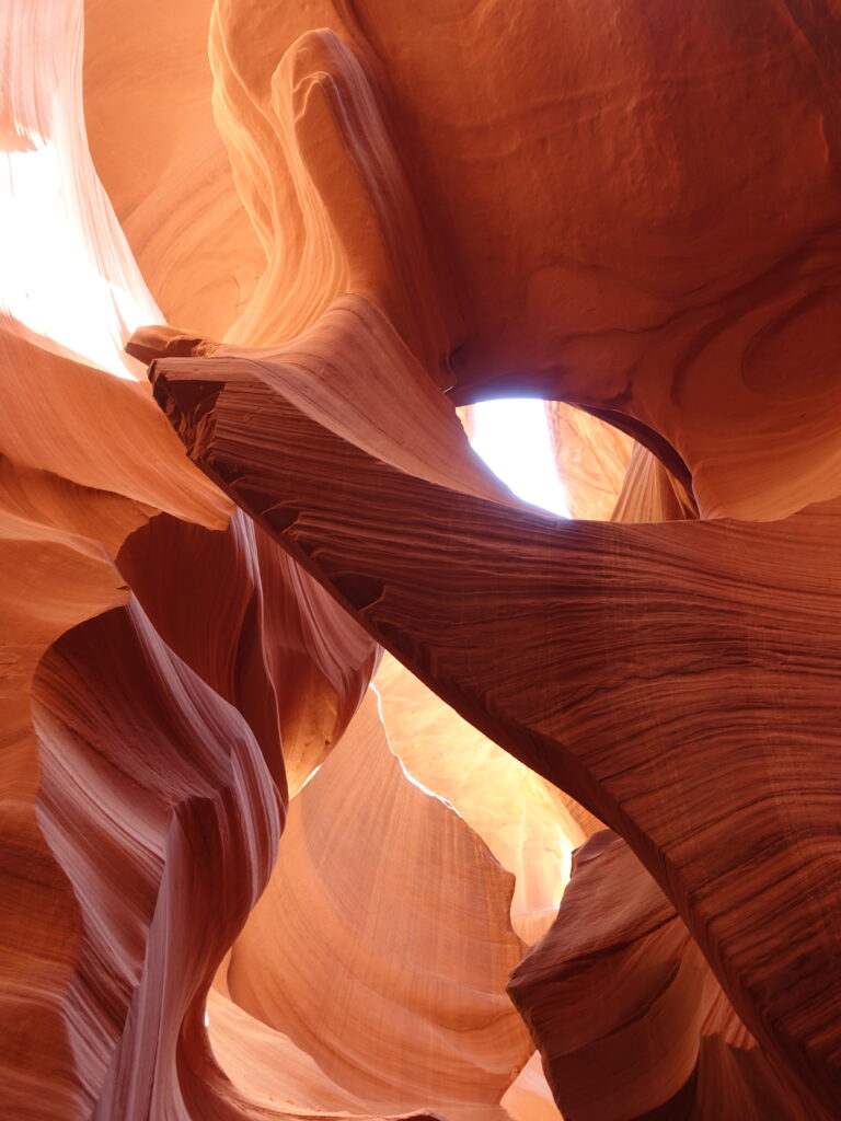 Lower Antilope