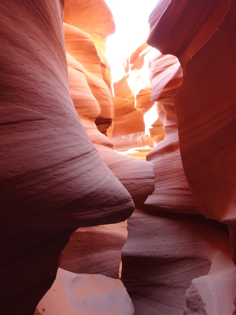 Lower Antilope